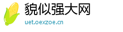 貌似强大网